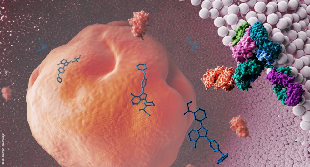 Ibrutinib With Chemoimmunotherapy Improved Progression Free Survival