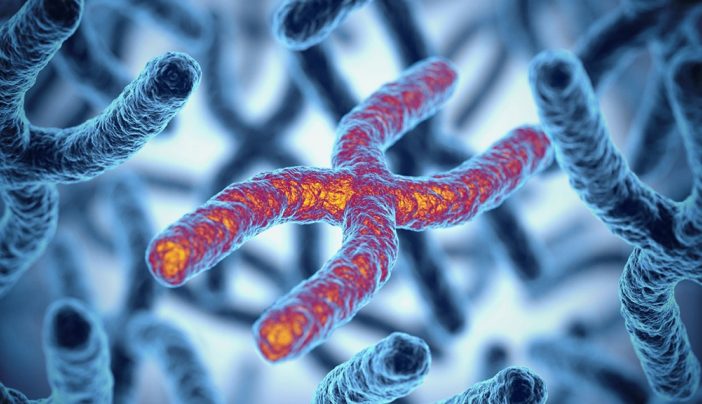 What Is Chromosomal Instability? | MD Anderson Cancer Center