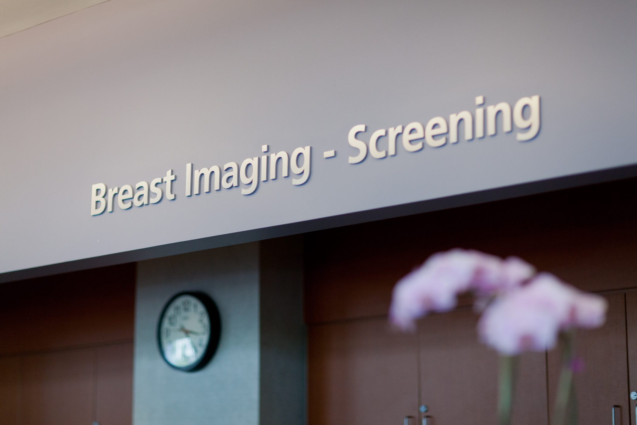 MD Anderson's patient registration for breast imaging and screening