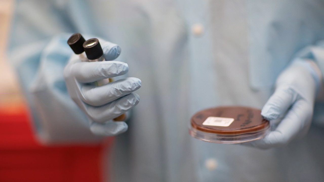 Researchers holding petri dish in hopes of unlocking clues about antibiotics resistance