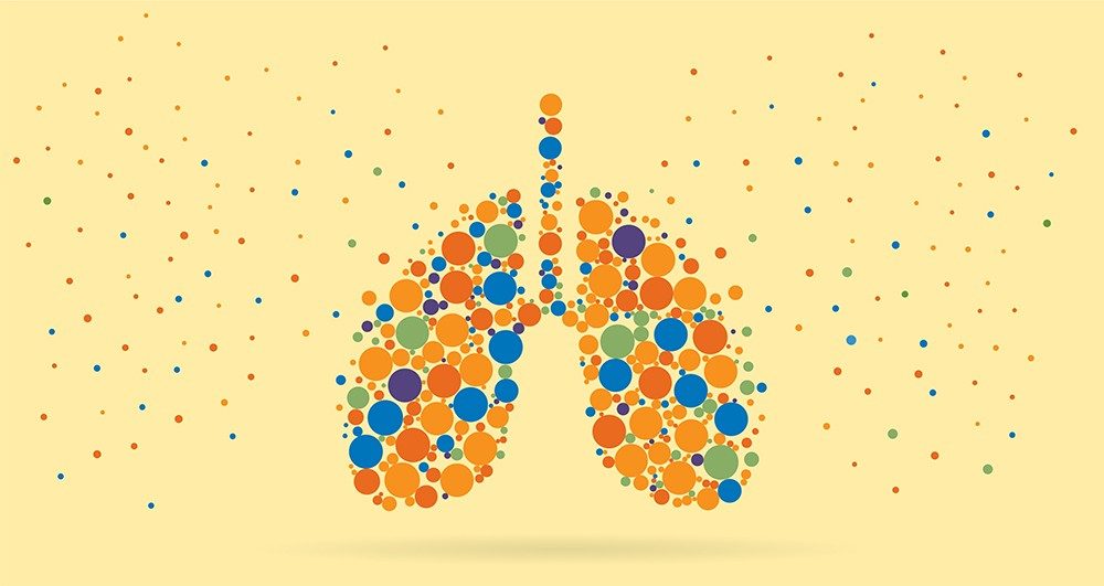 illustration of lungs