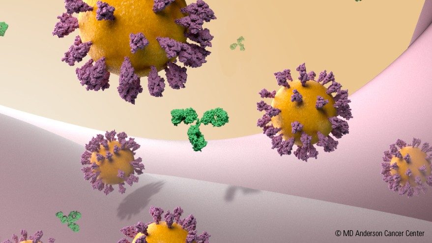 Illustration of COVID-19s and antibodies floating