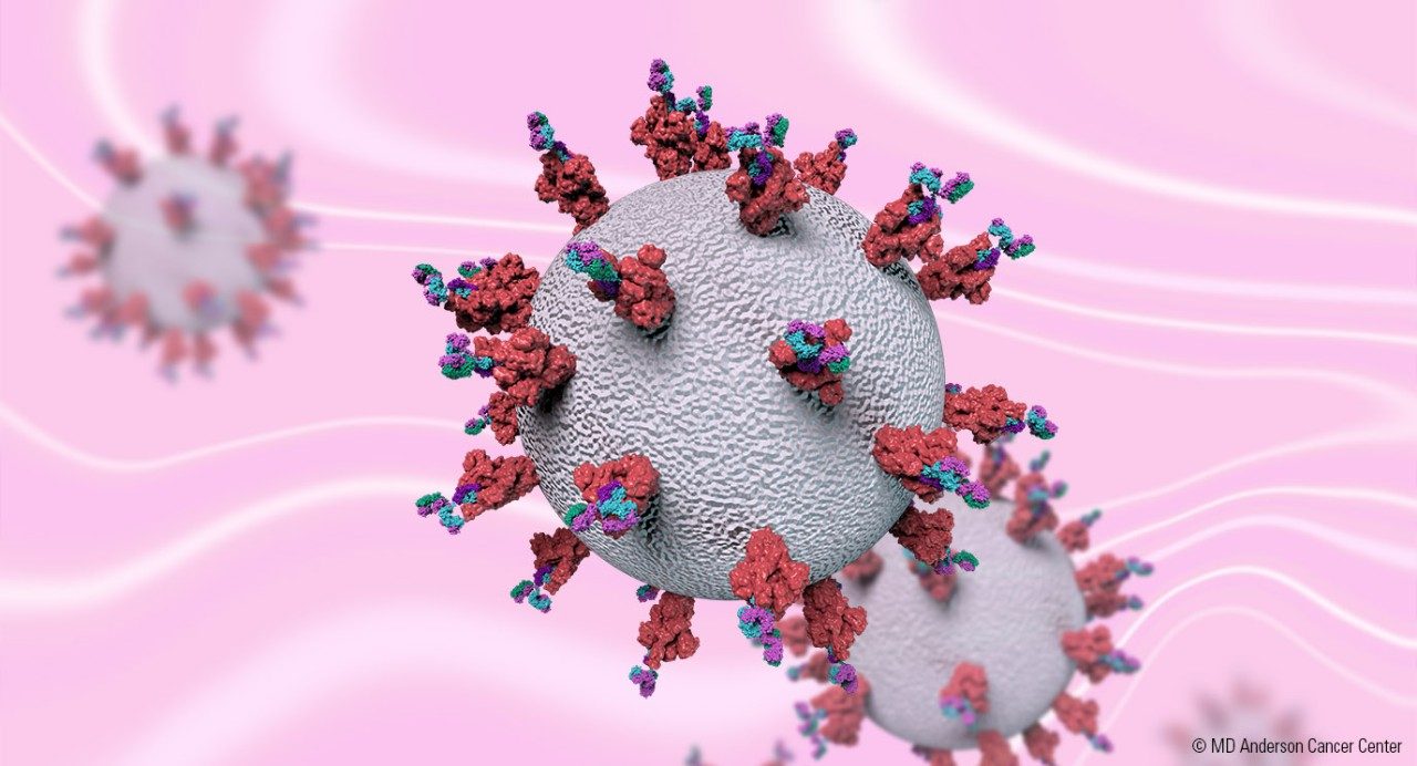 Illustration of COVID-19 with antibodies