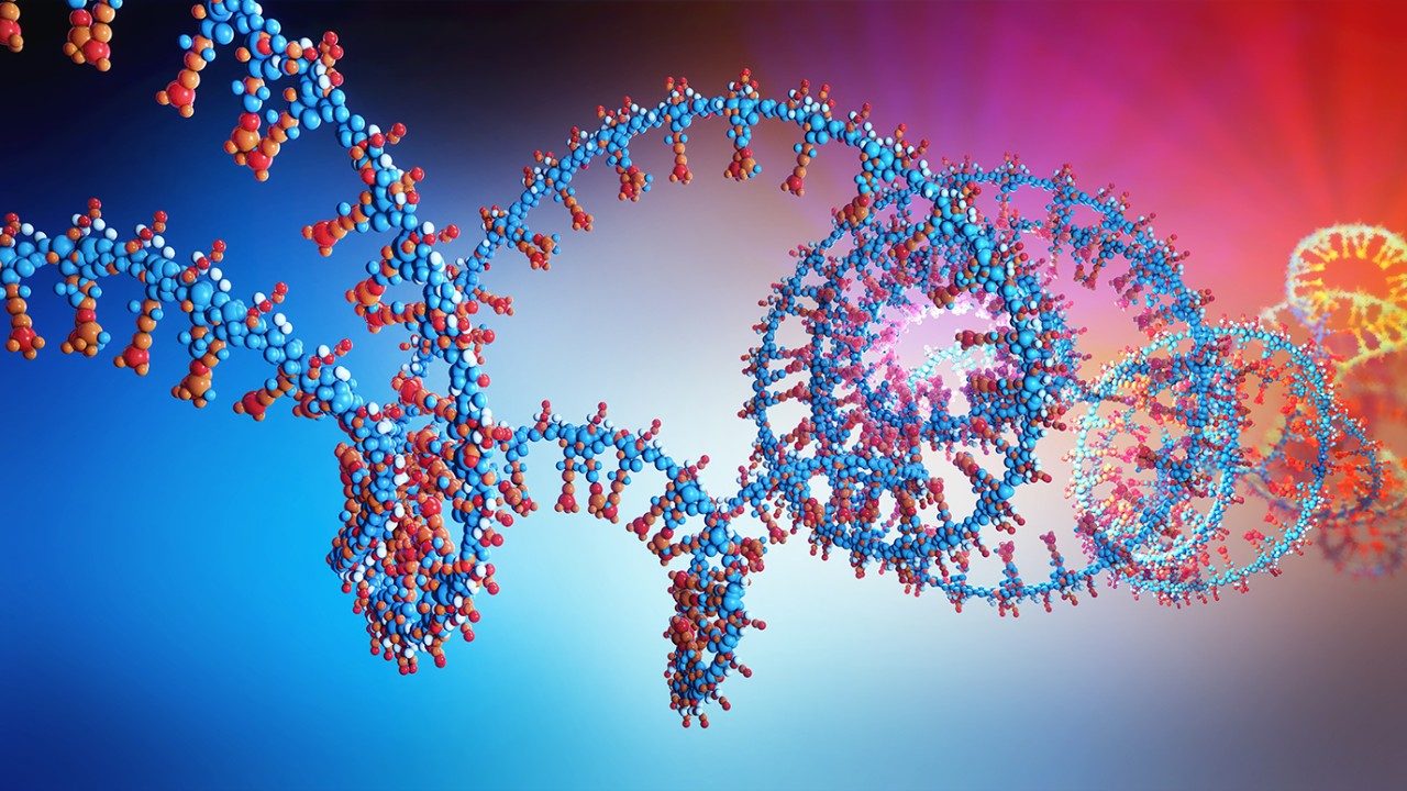 Medical illustration of unwinding spirals of DNA