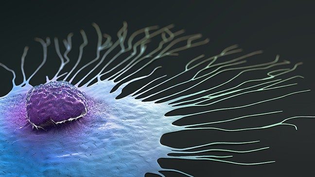 Scientific illustration of a migrating breast cancer cell 