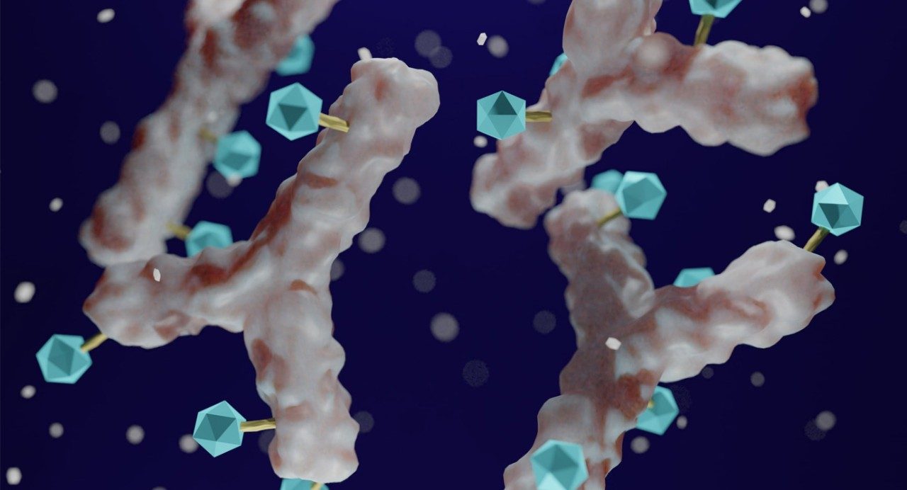 Illustration of  white antibody linked with blue cytotoxic payload. 