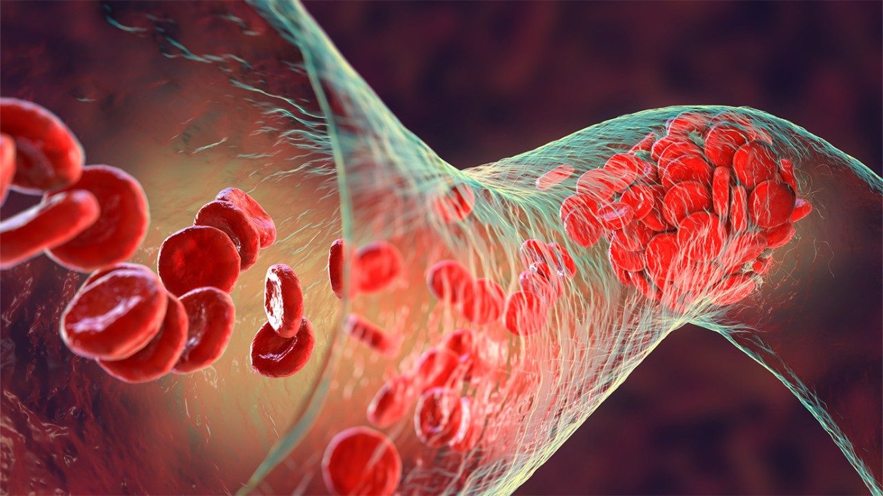 medical illustration of blood components flowing through a transparent capillary