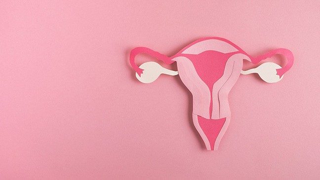 A pink uterus made of paper on a pink background.