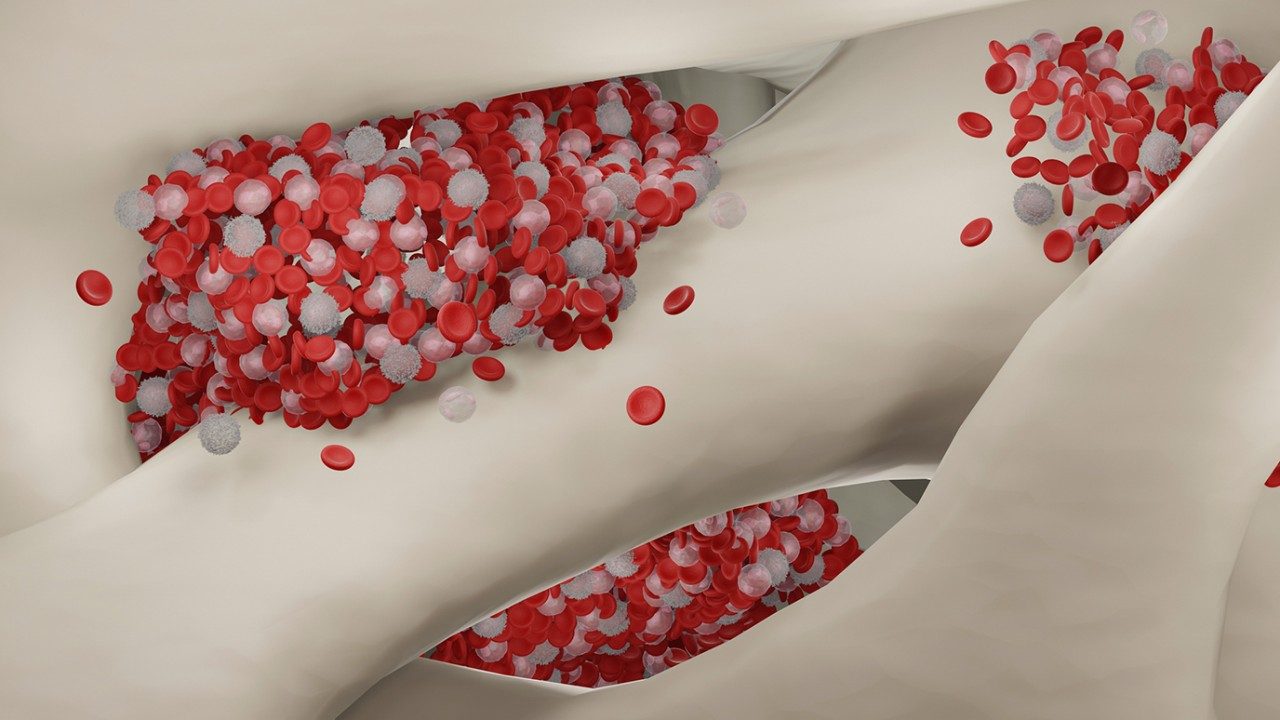 Illustration of blood cells being produced in the bone marrow