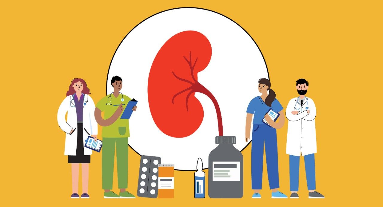 Four tiny doctors examine an oversized kidney