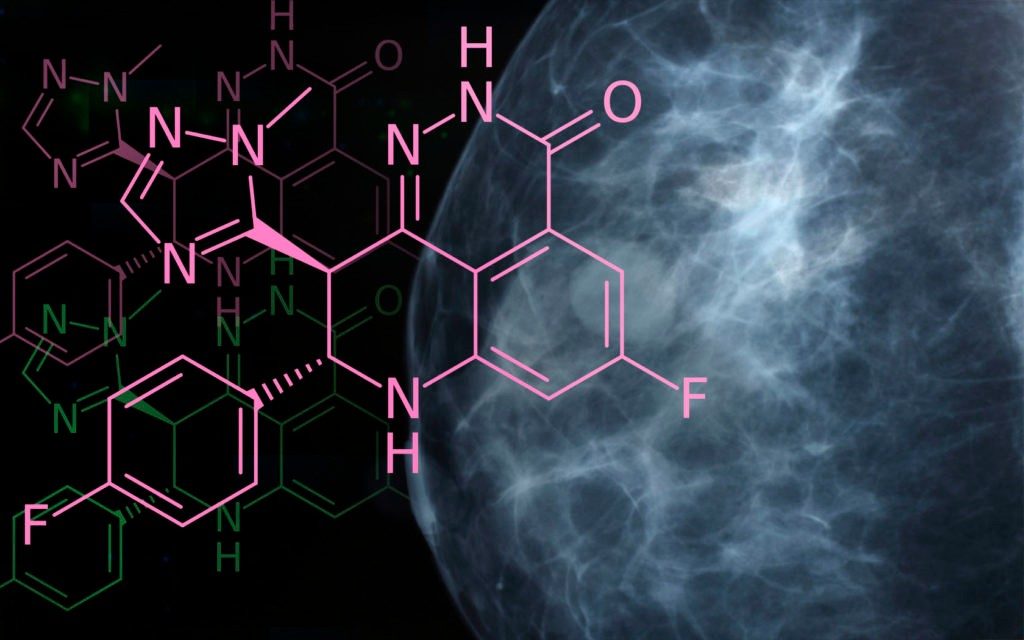 PARP inhibitors BRCA-positive breast cancer