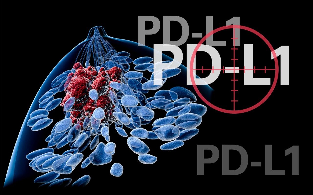 PD-L1 suppresses the immune system