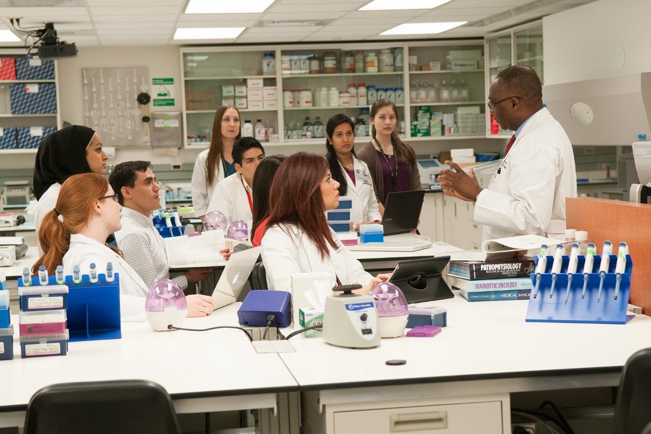 Students and trainees listen and learn in the lab