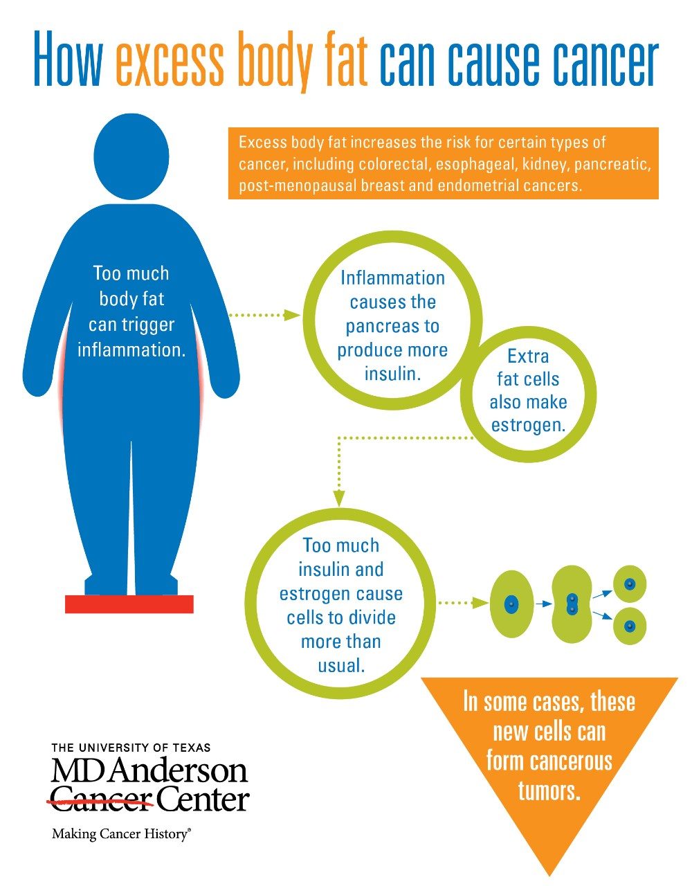 How does obesity cause cancer   MD Anderson Cancer Center