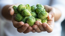 Sulforaphane Benefits How Leafy Veggies Like Broccoli And Brussels Sprouts May Help Reduce Your Cancer Risk Md Anderson Cancer Center