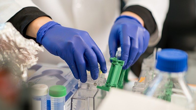 Lab worker with gloved hands